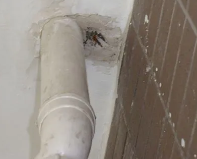 广州漏水检测哪家好